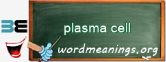 WordMeaning blackboard for plasma cell